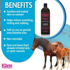 Eqyss Micro-Tek shampoo application on a horse’s coat during grooming