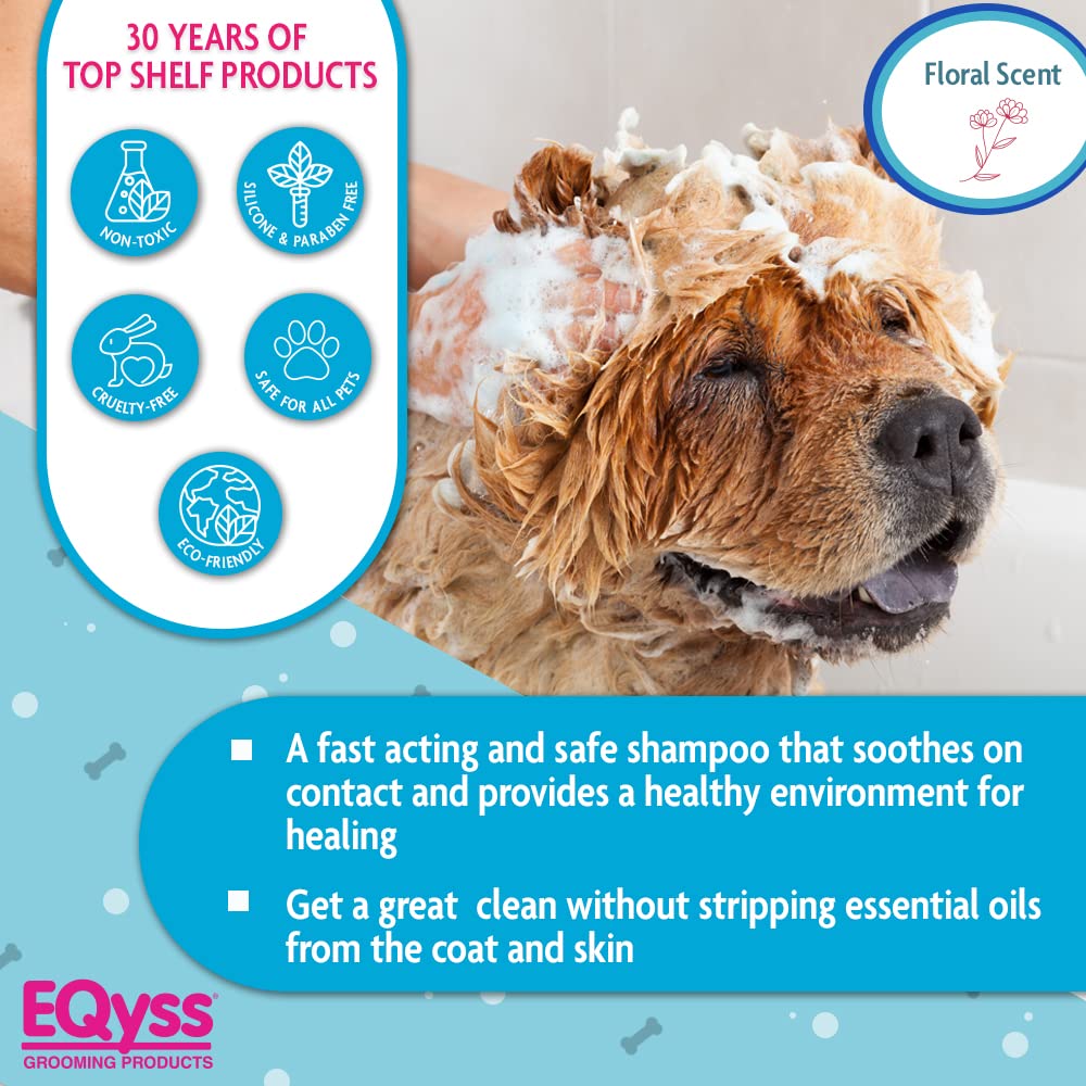 Applying Eqyss Micro-Tek shampoo to a dog to soothe hot spots.