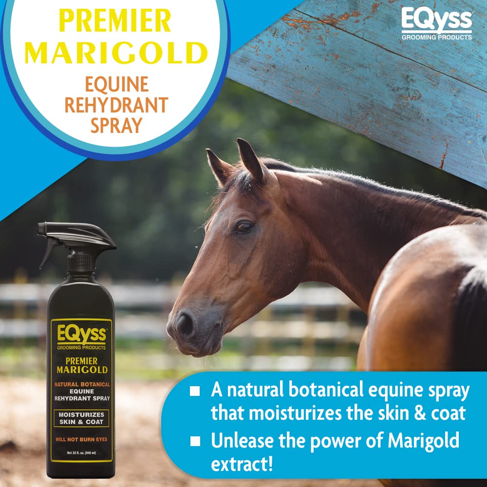 Eqyss Premier Marigold coat application adds shine and smoothness