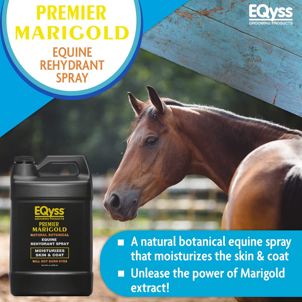 Eqyss Premier Marigold Coat Spray applied to mane and tail for smoother detangling and moisture.