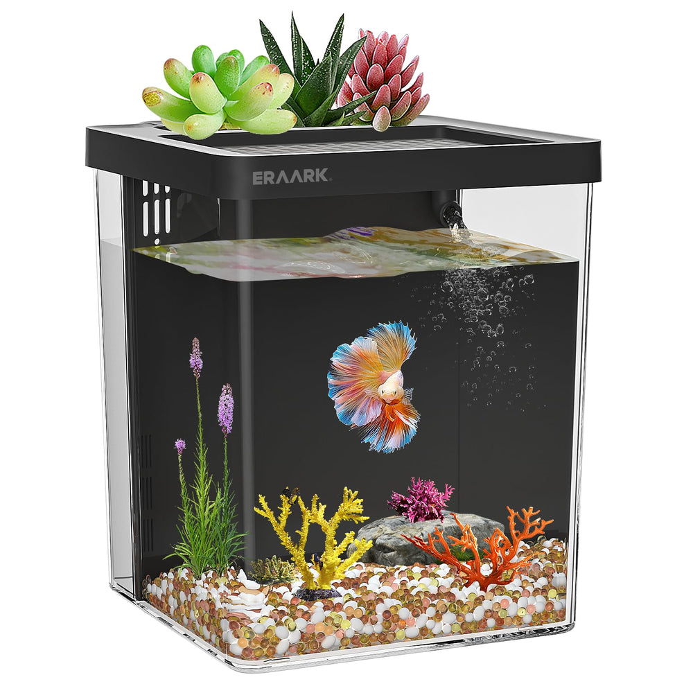 ERAARK 1.5-gallon Betta tank with LED light for a vibrant display