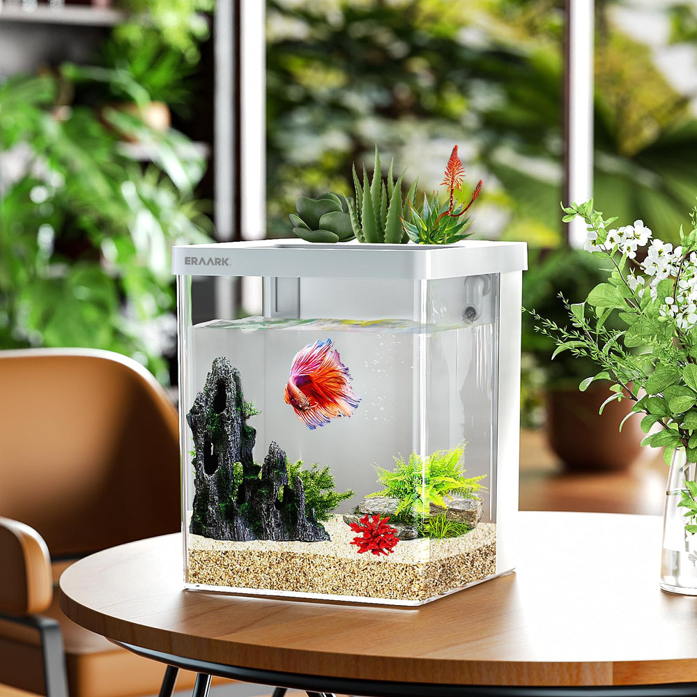 ERAARK Smart Betta Tank compact design fits modern decor and saves space