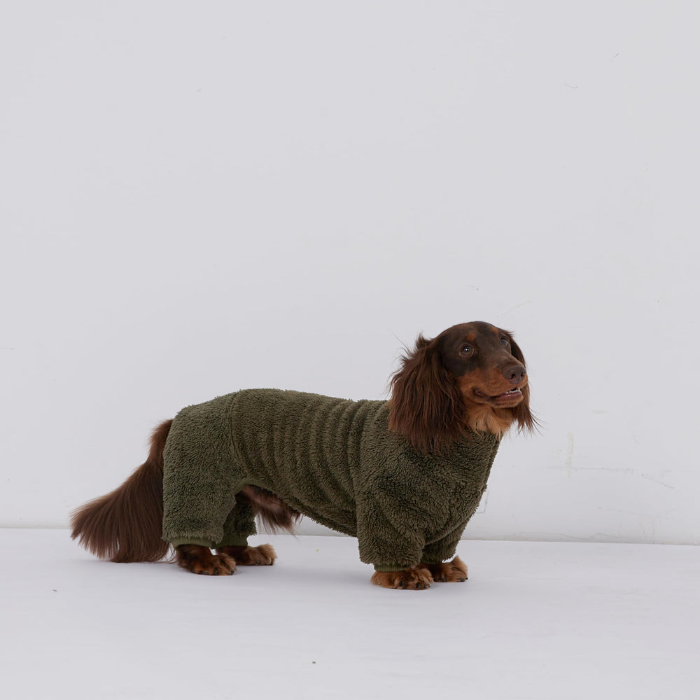 ESCCBOO dachshund jumpsuit model wear demonstrates secure, snug fit for dachshunds
