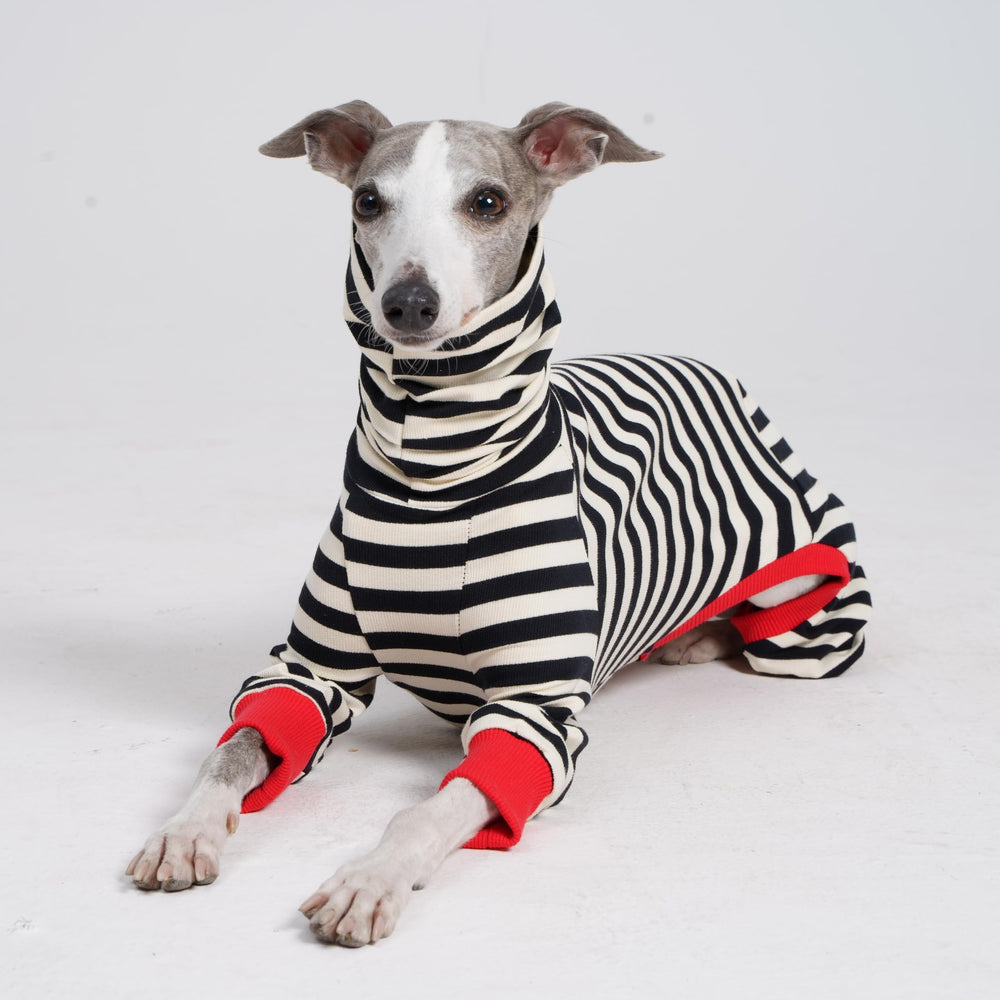 ESCCBOO Italian Greyhound Onesie back-length measurement helps sizing
