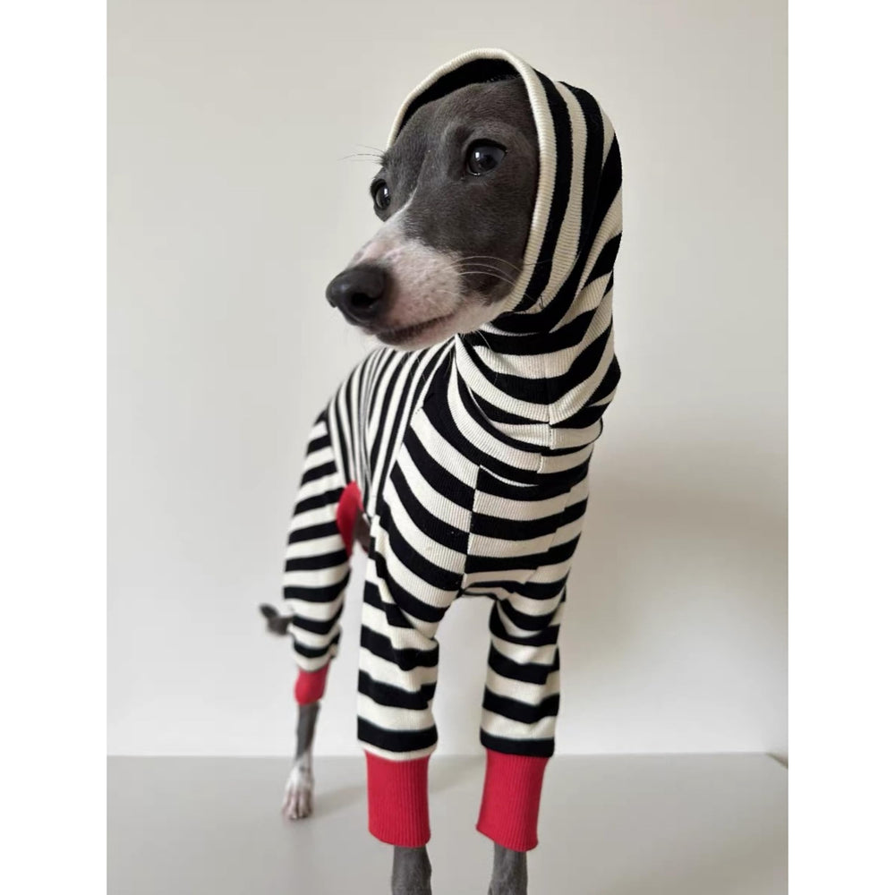 ESCCBOO Italian Greyhound Onesie chest measurement aids a snug fit