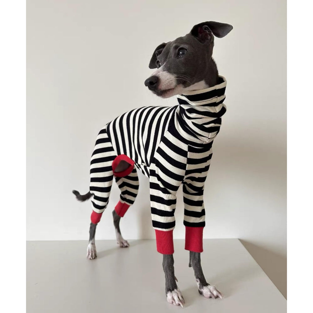 ESCCBOO Italian Greyhound Onesie easy-dressing design for busy mornings