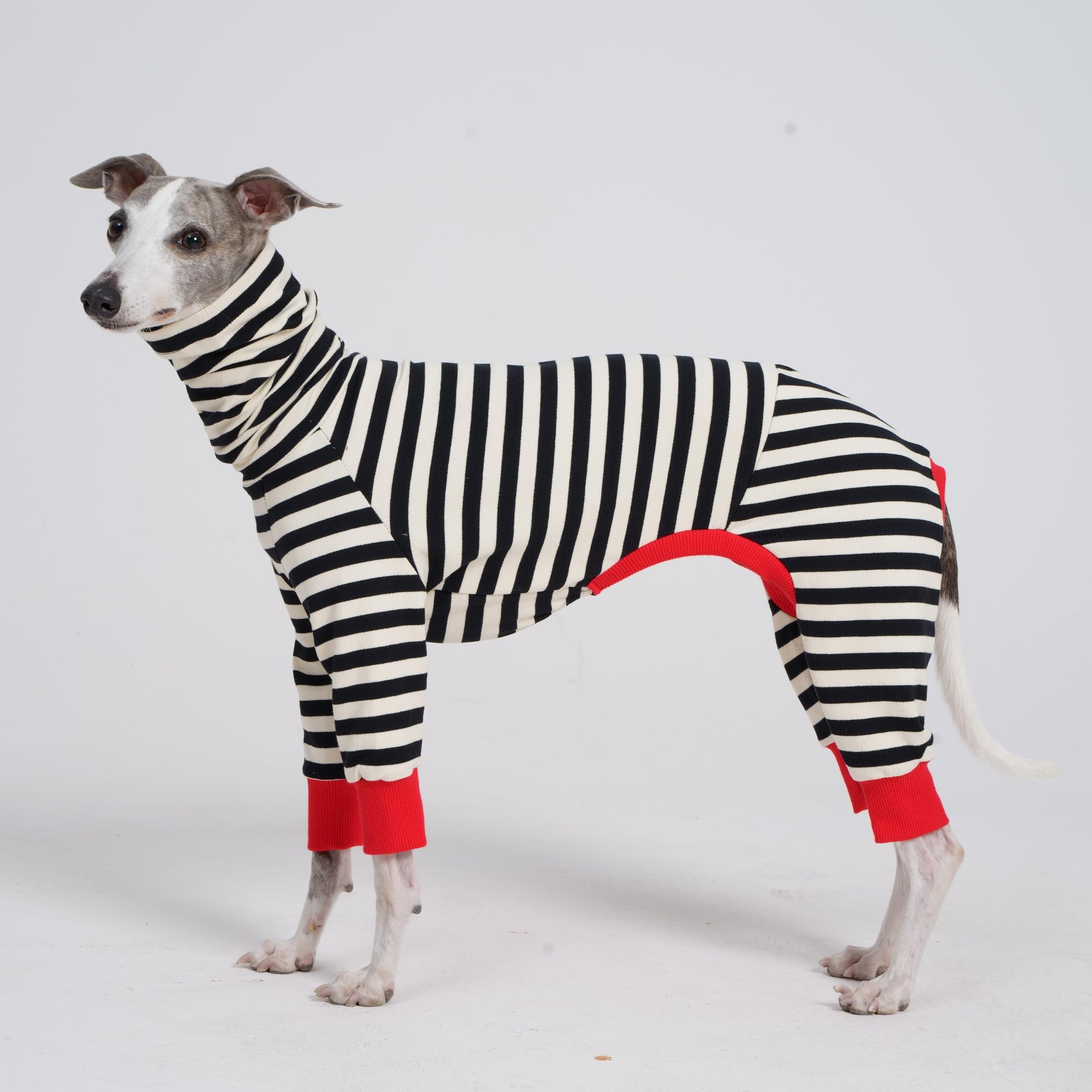 ESCCBOO Italian Greyhound Onesie lightweight fabric for summer wear and airy comfort