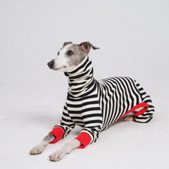 ESCCBOO Italian Greyhound Onesie sun-protective high-neck with stripe style