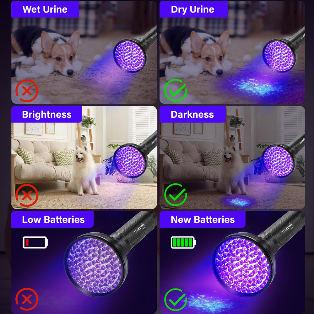 ESCO LITE UV Flashlight detects pet stains under UV light.