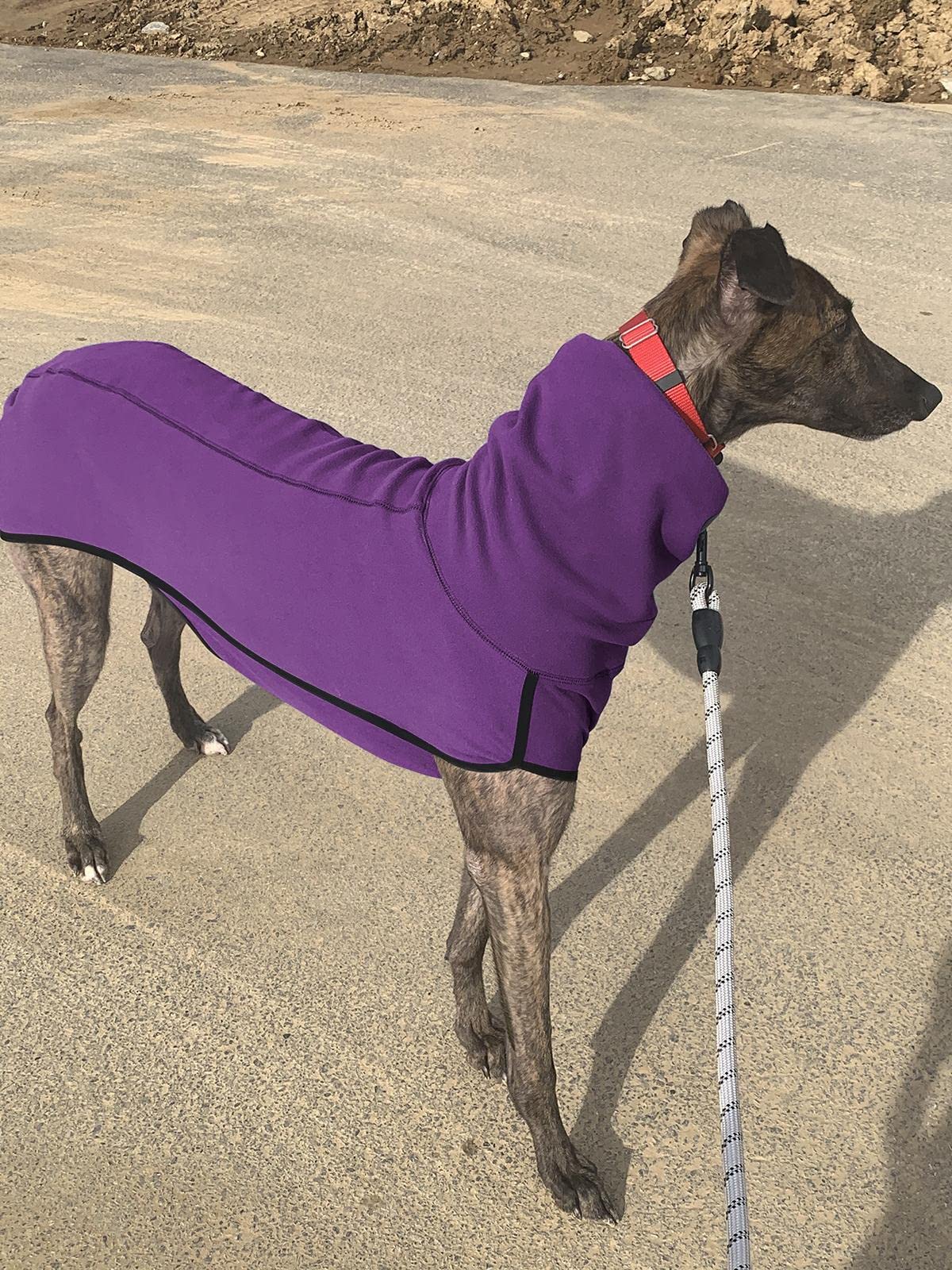 Esobo fleece dog coat back and abdominal openings for easy potty breaks.