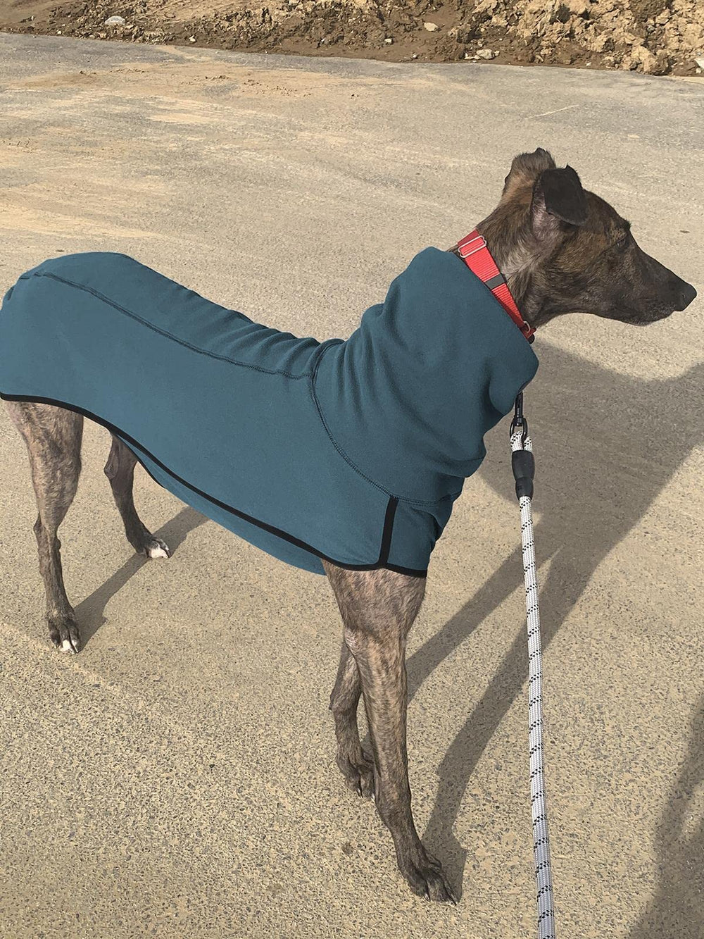 Esobo fleece dog coat pull-on design facilitates quick dressing for busy mornings