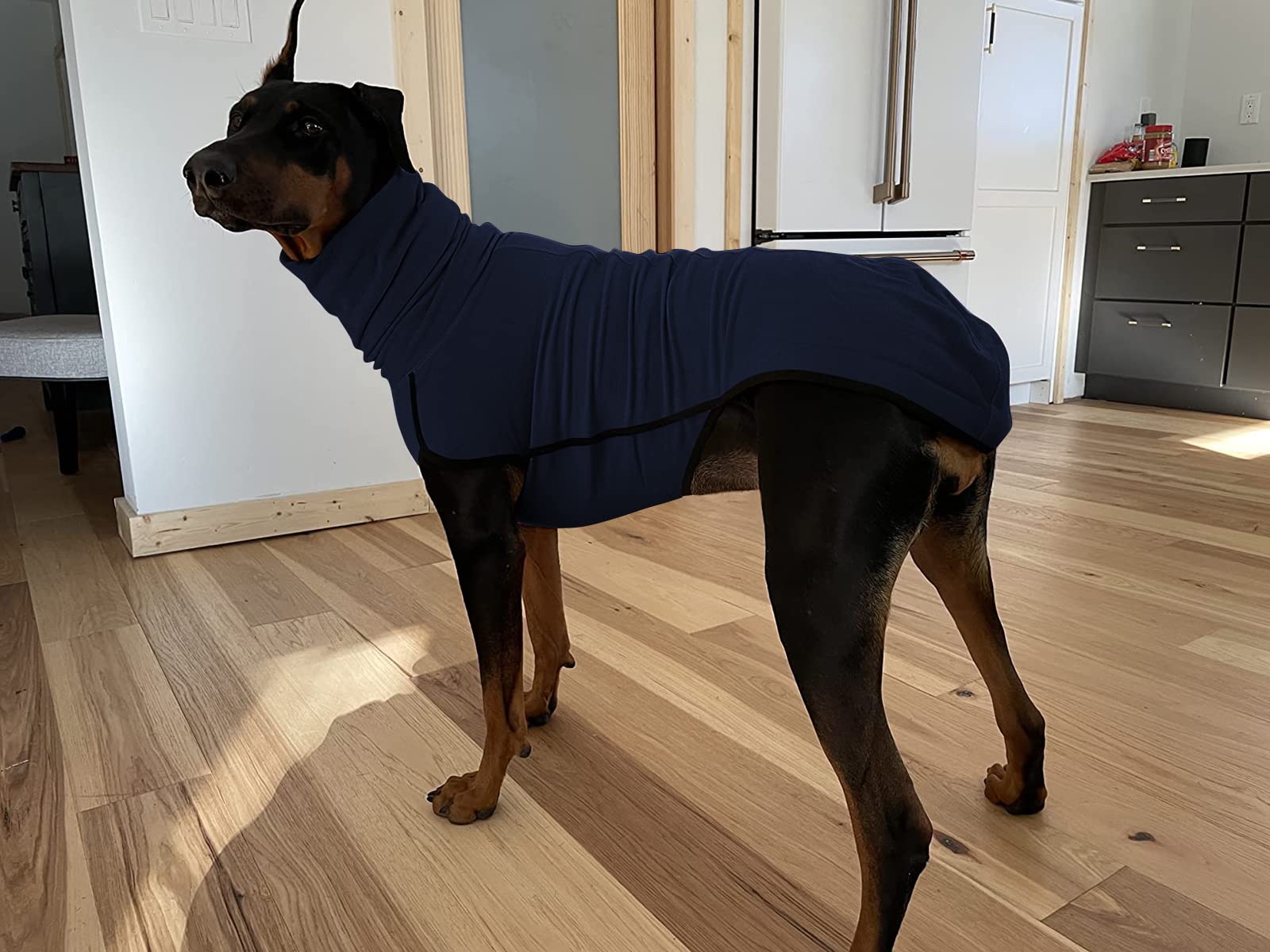Esobo three-season dog coat appropriate from spring to fall