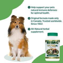 Essiac Pets capsules closeup showing simple daily use for wellness.