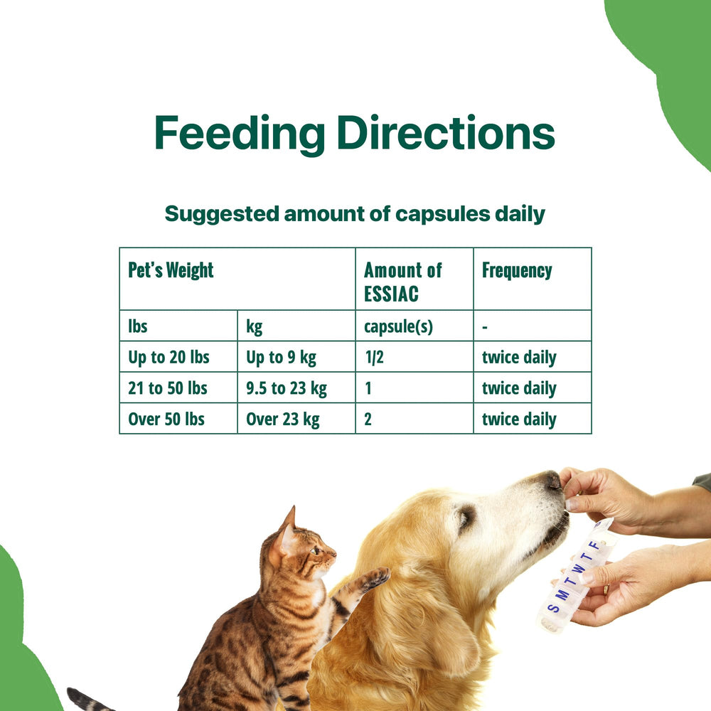 Essiac Pets cat usage image emphasizes gentle immune support for felines.