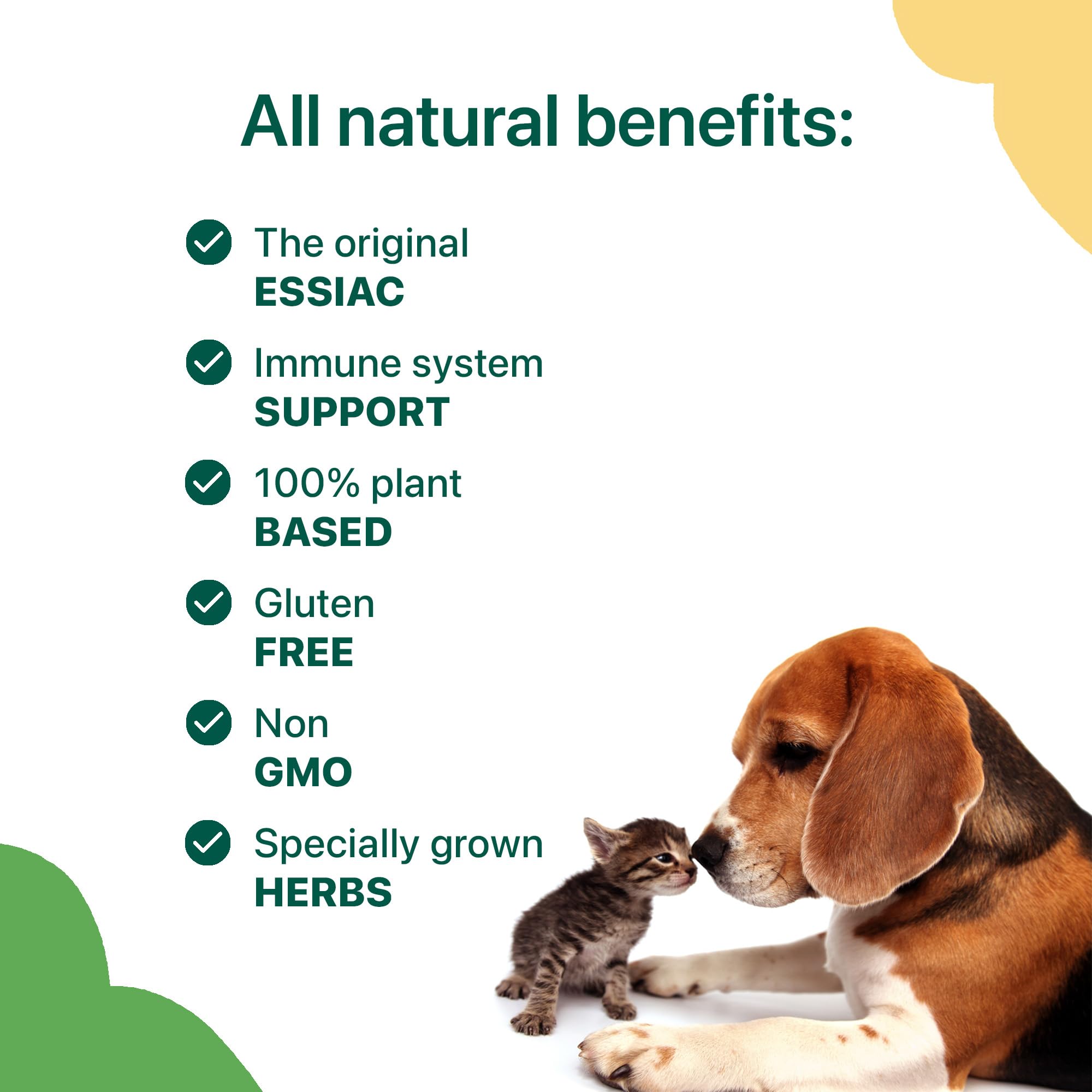 Essiac Pets dog usage scene illustrates routine-friendly supplement for canine care.