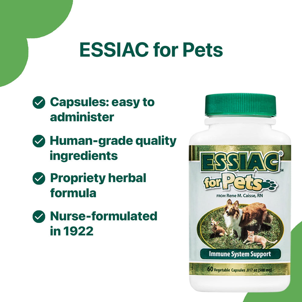 Essiac Pets label detail reveals natural herbal blend behind immune support.