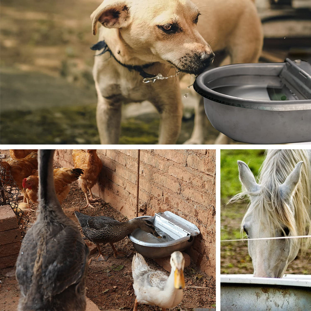 Essilnn automatic water dispenser poultry-feeder ensures steady water for birds