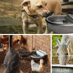 Essilnn automatic water dispenser poultry-feeder ensures steady water for birds