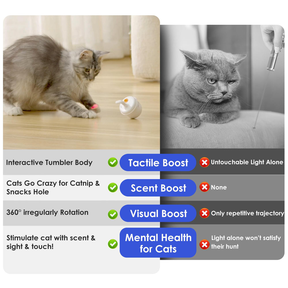 estbicn packaged gift-ready box makes a thoughtful present for cat lovers