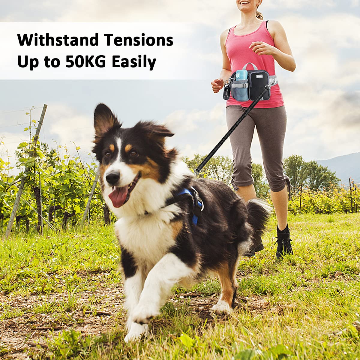 ETACCU extendable length 37-54 inches for different dog sizes and activities.