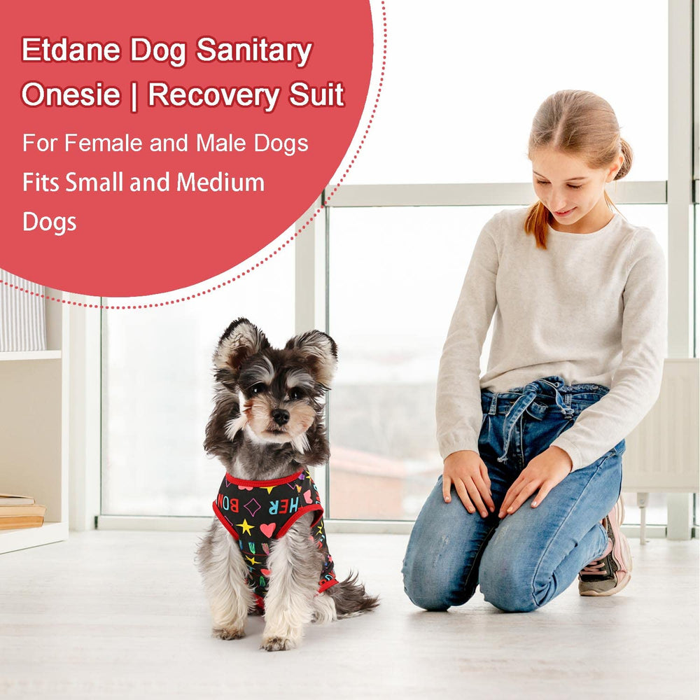 Etdane small-dog suit with back-closure shown, easy to put on and secure.
