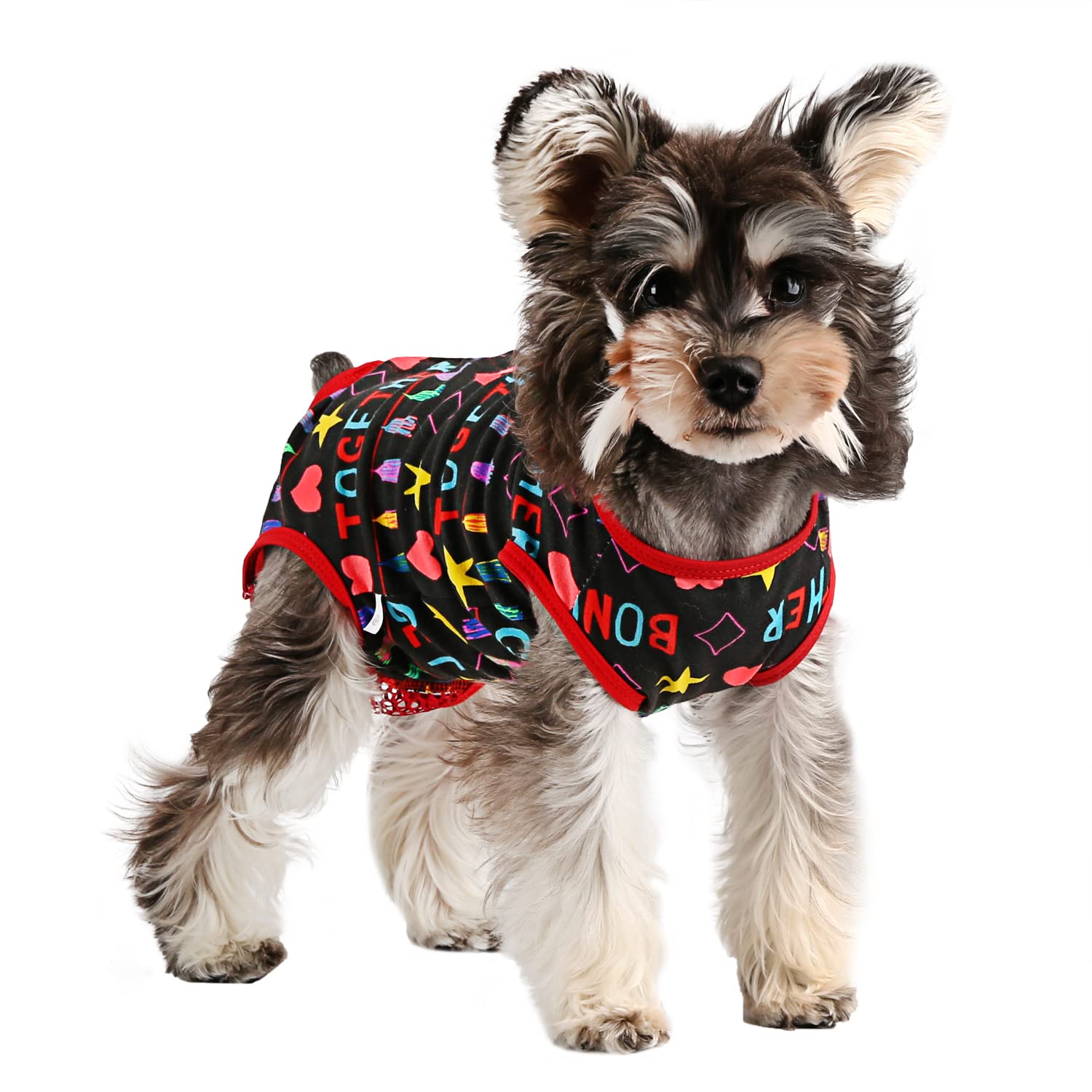 Etdane dog period diapers worn by a small dog in black for reliable protection and comfort.
