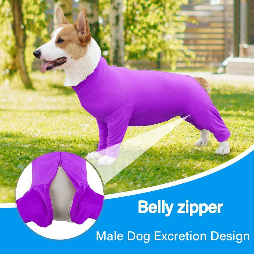 Etdane dog surgery suit belly zipper closeup for easy bathroom access