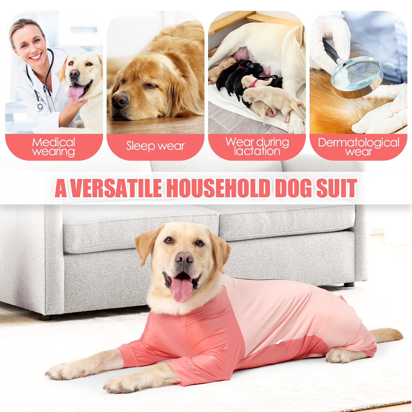 Etdane pink dog-onesie for spay or neuter recovery supports gentle healing.