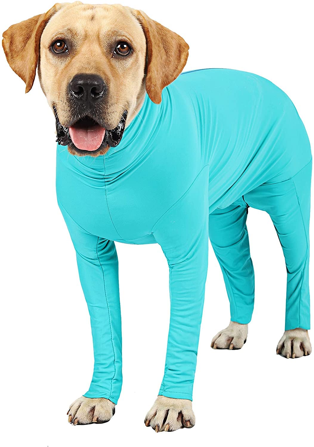 Etdane Recovery Suit for Dogs blue 3XL back view shows gentle compression and comfort