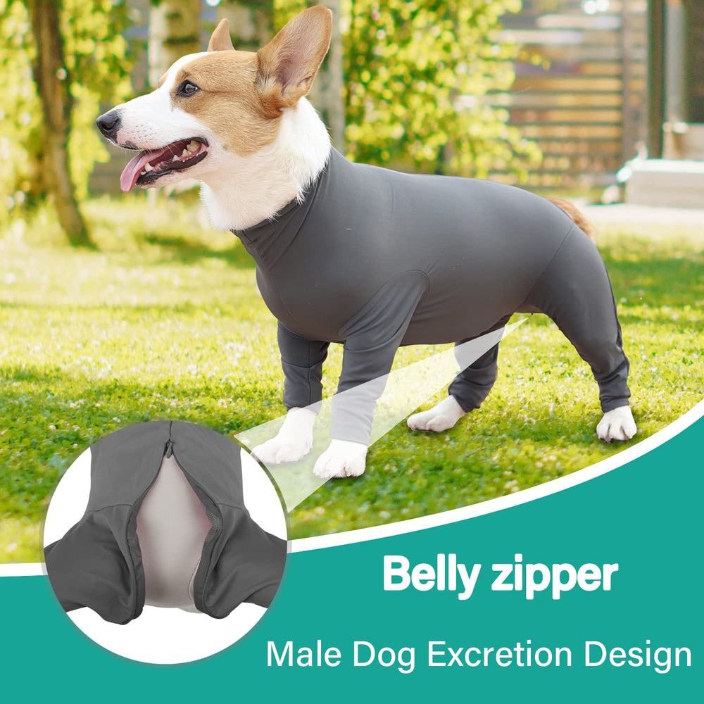Etdane recovery suit belly zipper access aids male dogs