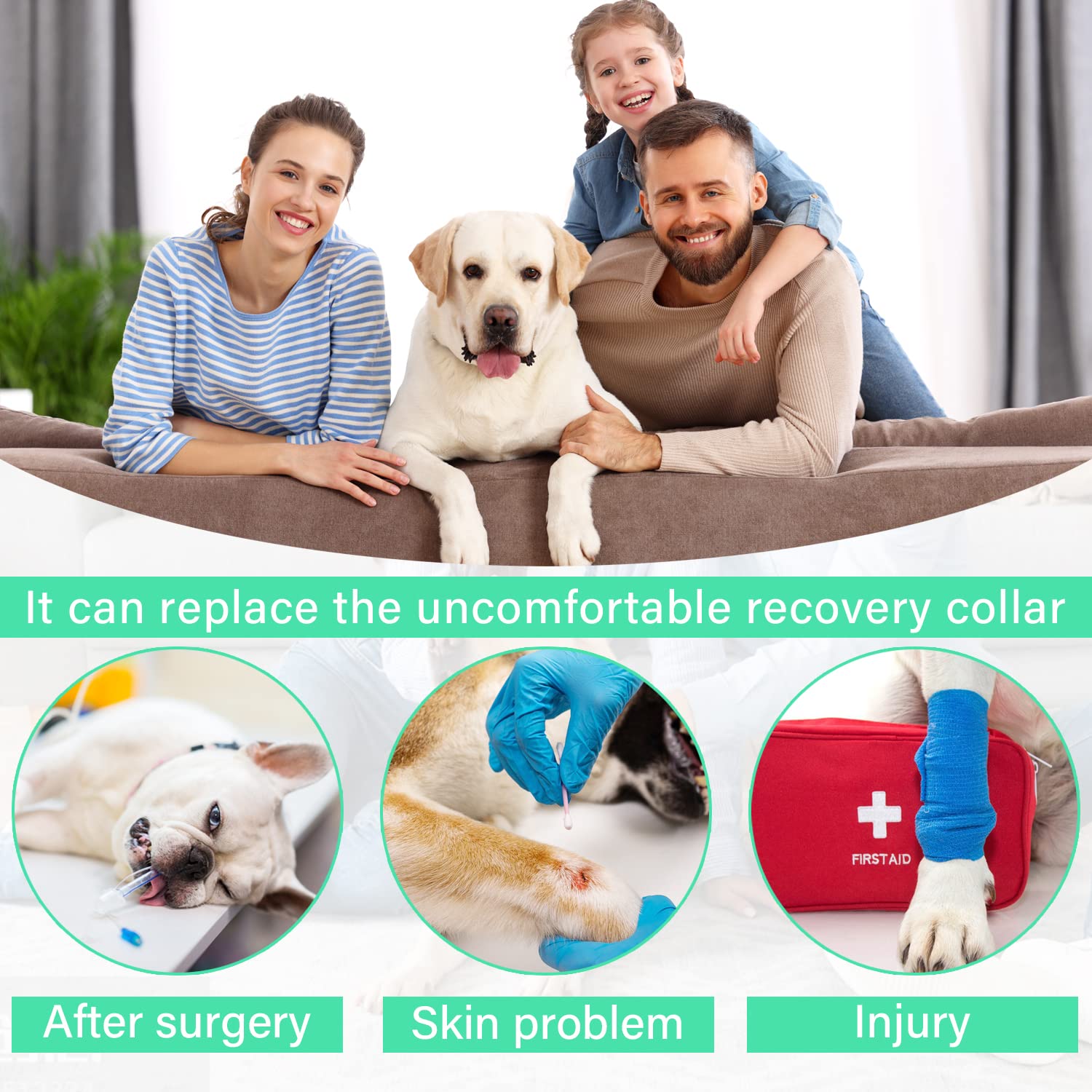 Etdane recovery suit covers body to help manage shedding and fur cleanup.