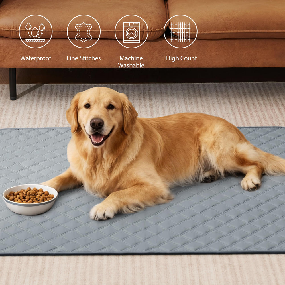 Eterish dog training pad non-slip waterproof surface helps stay in place during training.