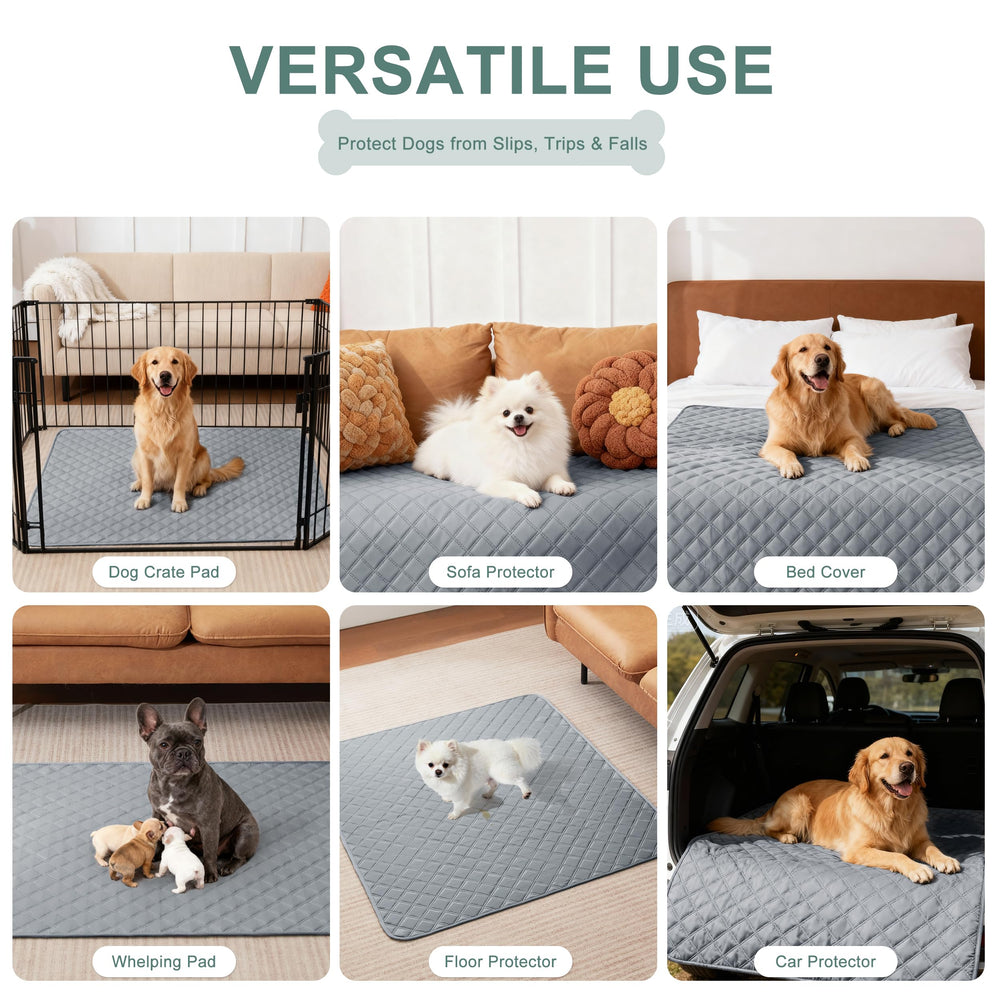 Eterish whelping pad provides a clean surface during overnight care.