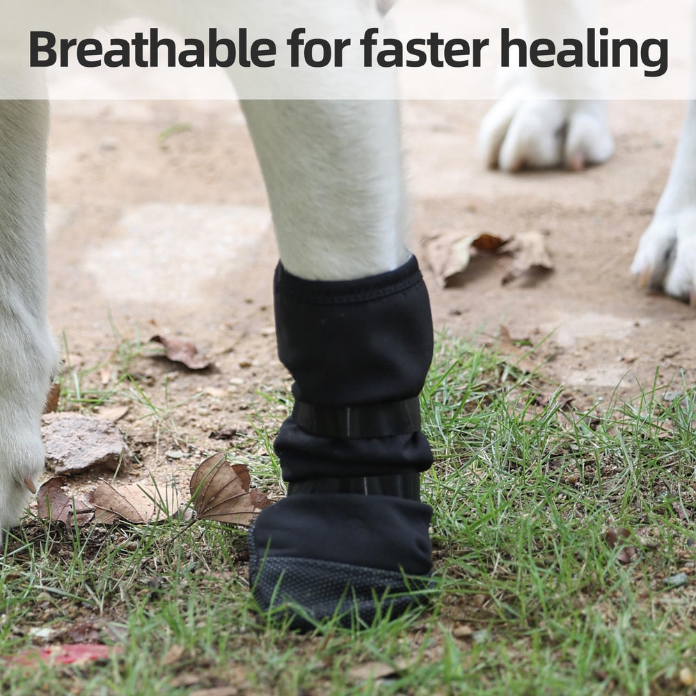 ETIAL paw boot size guide helps find the right fit for all breeds