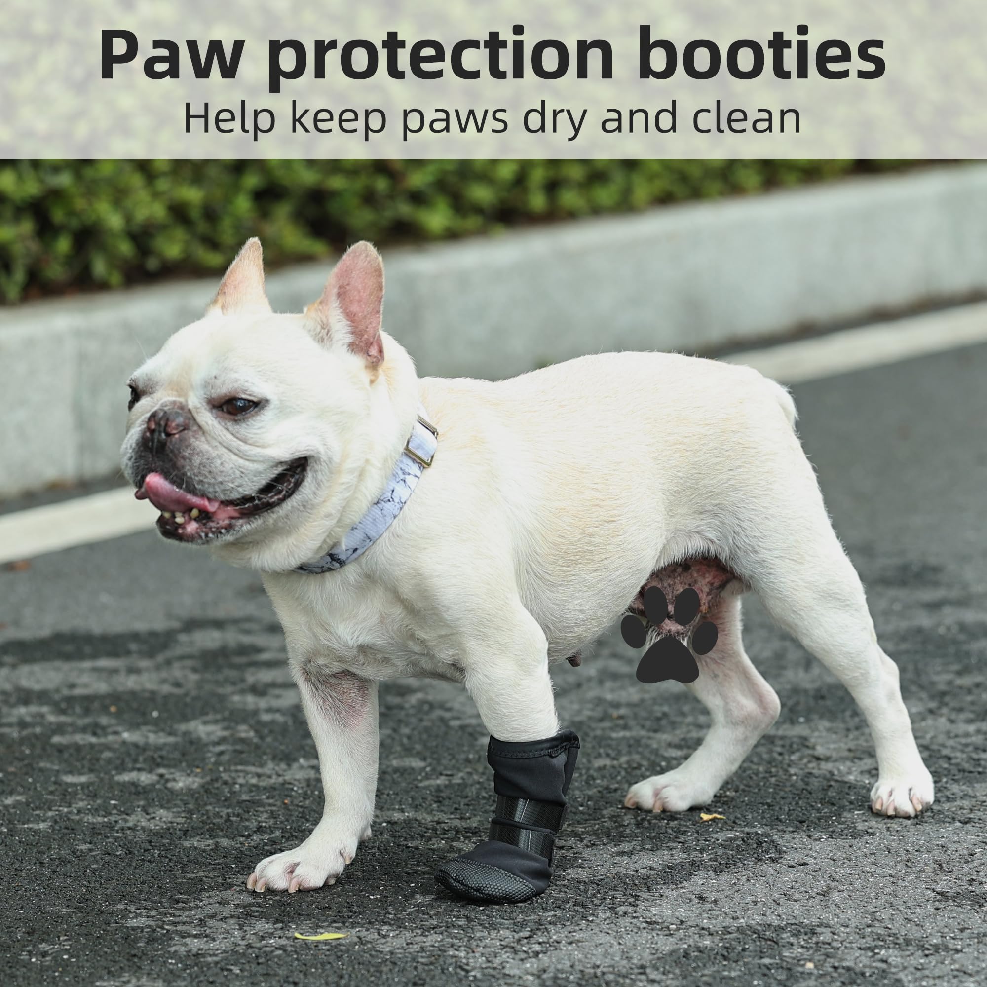 ETIAL Dog Paw Wound Recovery Boot with self-adhesive strap securing paw during play.