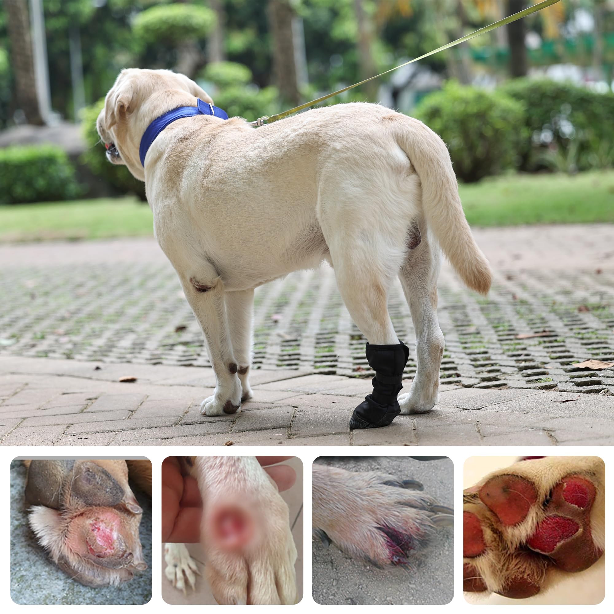 ETIAL Dog Paw Wound Recovery Boot sizing guide helps find secure fit.