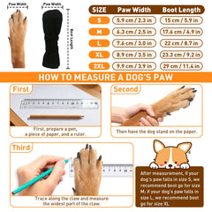 ETIAL paw protector anti-lick closeup highlights safe barrier for wounds
