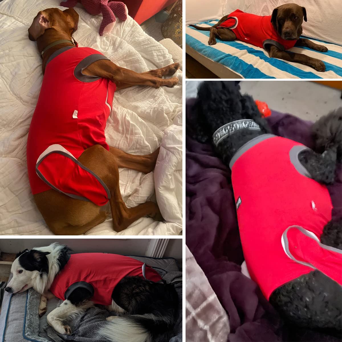 ETIAL Red L Dog Recovery Suit features easy-closure for quick dressing and removal.