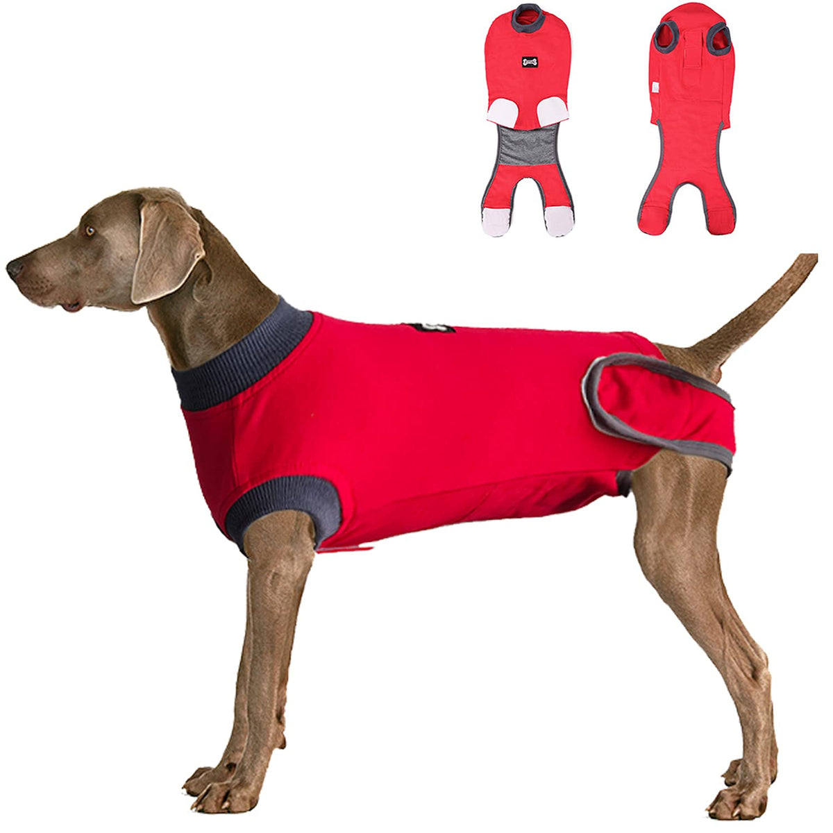 ETIAL Red L Dog Recovery Suit on a dog shows post-surgery protection and comfort.