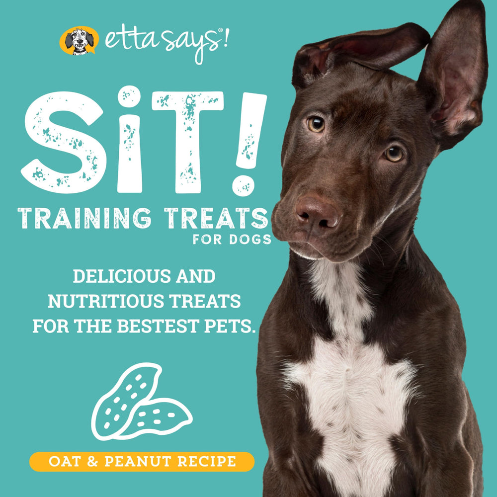 etta says Training Treats dog enjoying training bite during session