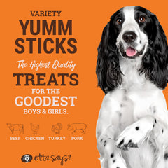 etta says! yumm-sticks beef-jerky-stick savory beef for satisfying treats
