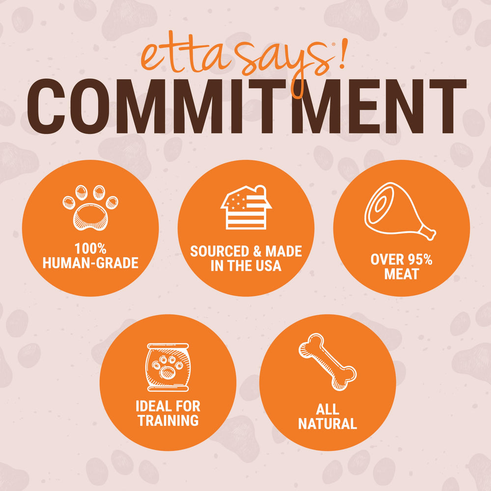 etta says! yumm-sticks pork-jerky-stick flavorful option for variety-packed snacking