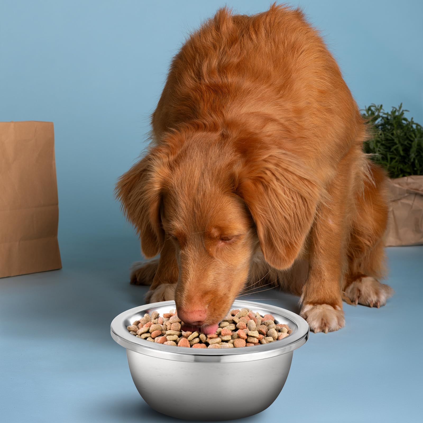 EupHHonycs dishwasher-safe bowls clean quickly for hygienic meals.