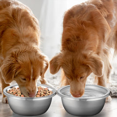 EupHHonycs stable base reduces spills during mealtime for big dogs.