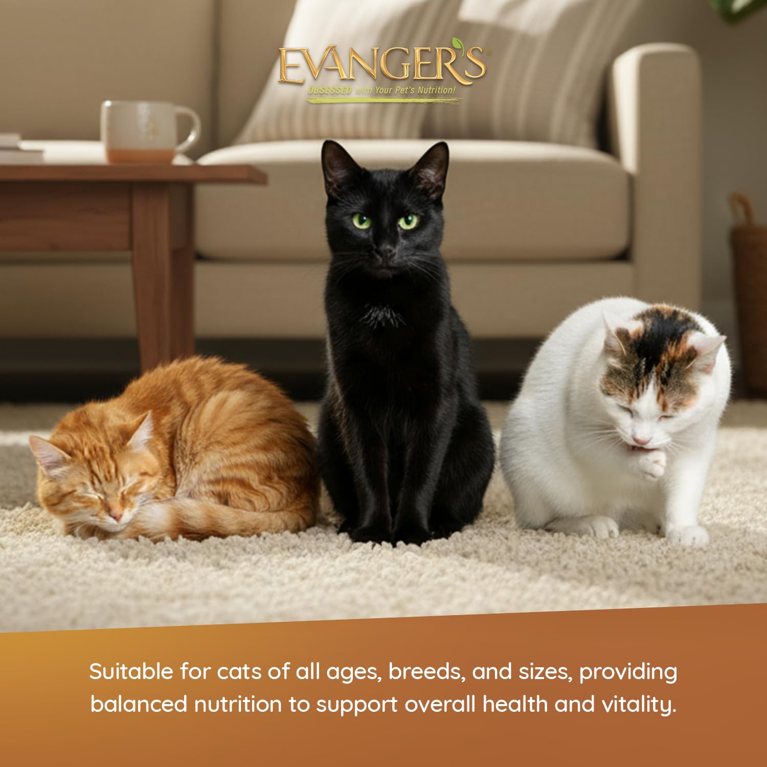 Evanger's Beef It Up BPA-free cans ensure clean packaging.
