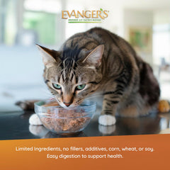 Evanger's Beef It Up grain-free formula supports gentle digestion.