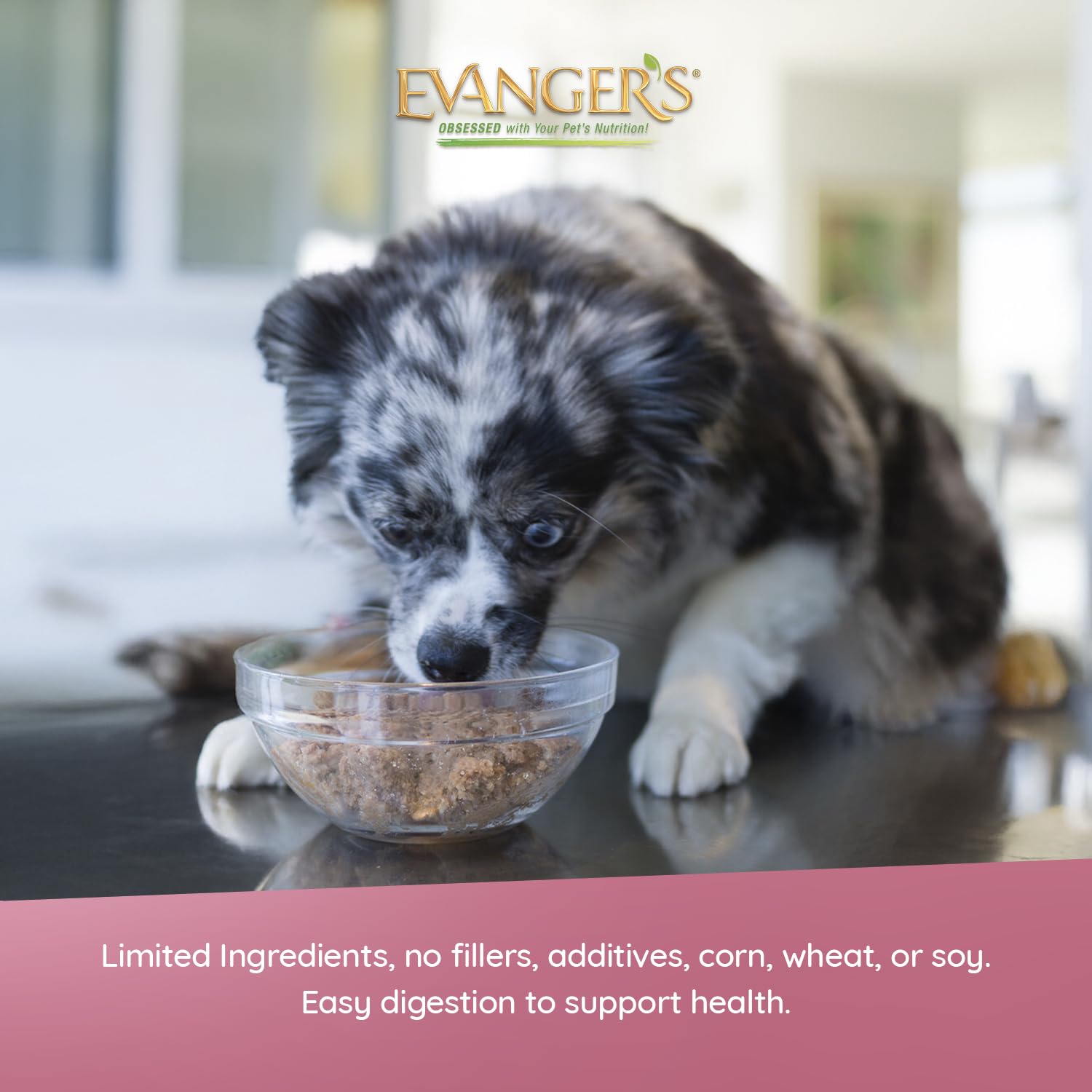 Evanger's Heritage Classic Gluten-Free Loaf Texture: gentle on digestion for sensitive eaters.
