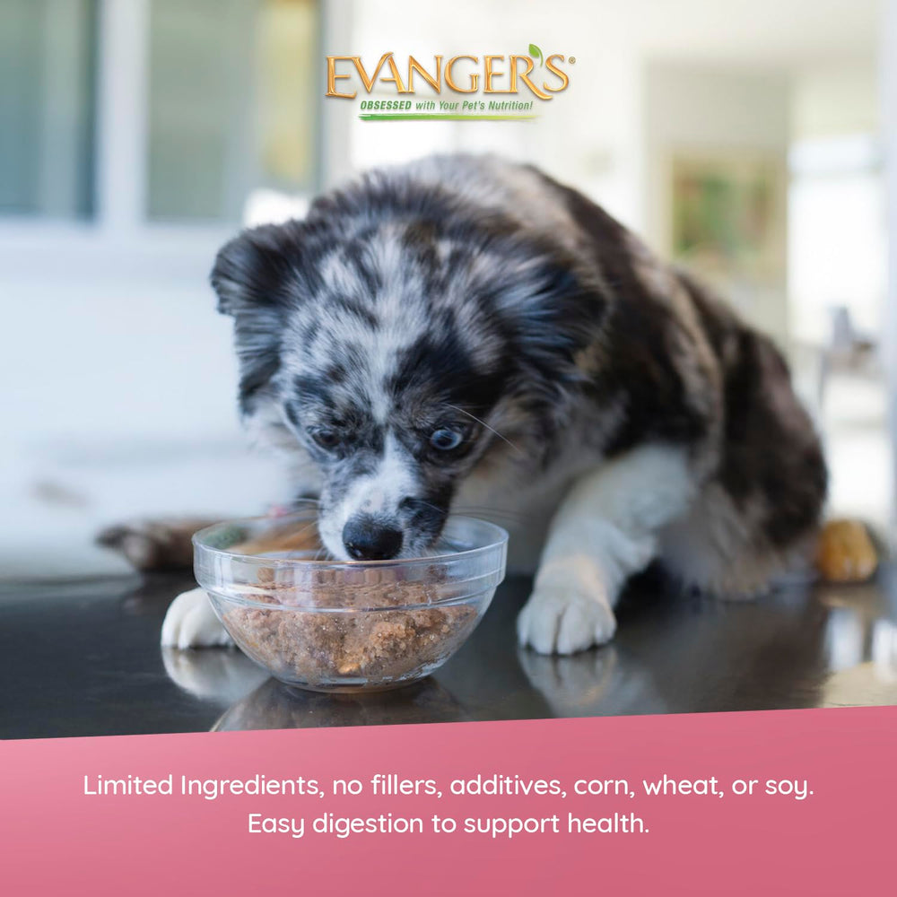 Evanger's Heritage Classic Gluten-Free Loaf Texture: gentle on digestion for sensitive eaters.