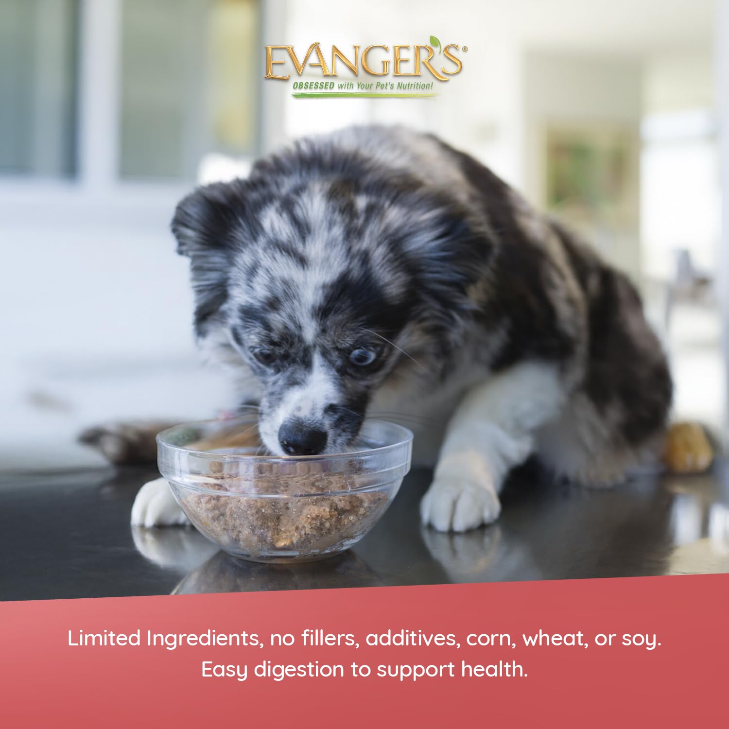 Evanger's Heritage Classic lamb-and-rice ingredients highlight grain-free protein