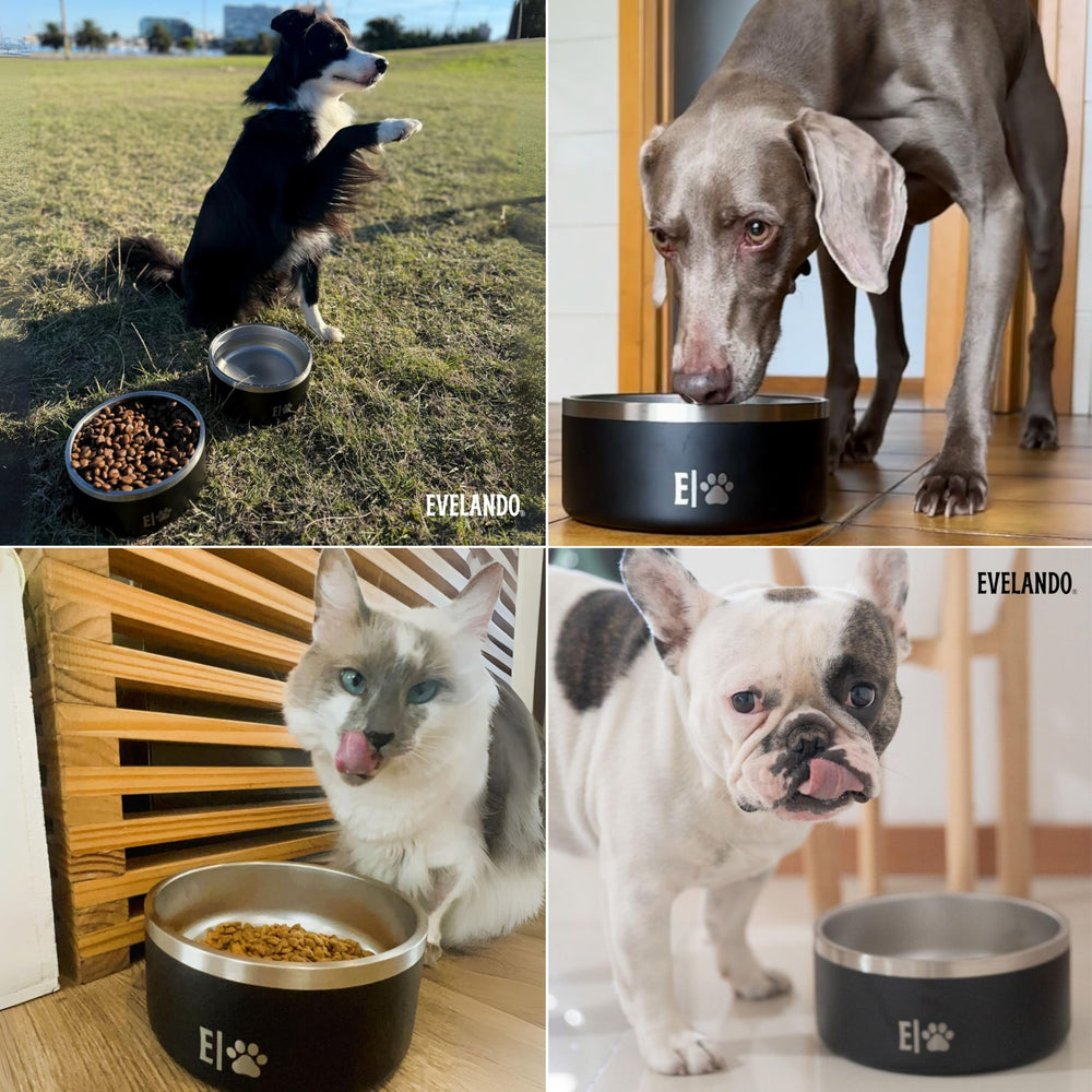 EVELANDO easy-clean dog bowl design simplifies after-meal rinsing.